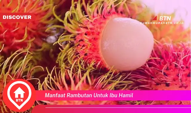 manfaat rambutan untuk ibu hamil