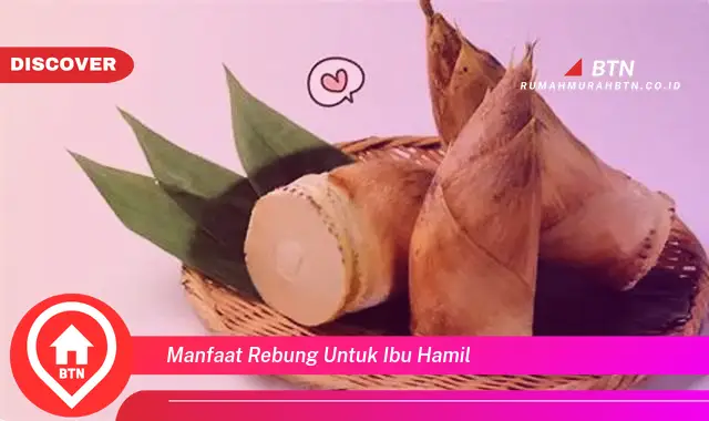 manfaat rebung untuk ibu hamil