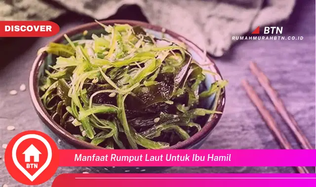 manfaat rumput laut untuk ibu hamil