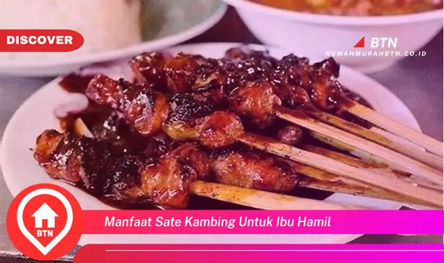 manfaat sate kambing untuk ibu hamil