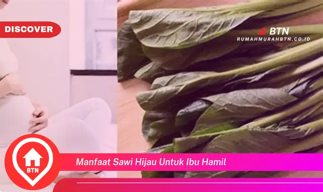 manfaat sawi hijau untuk ibu hamil