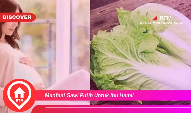 manfaat sawi putih untuk ibu hamil