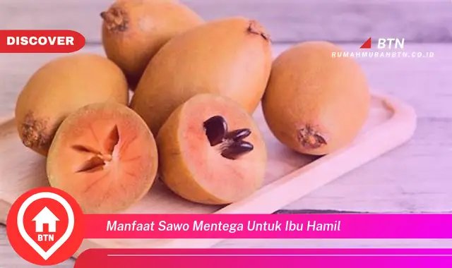 manfaat sawo mentega untuk ibu hamil