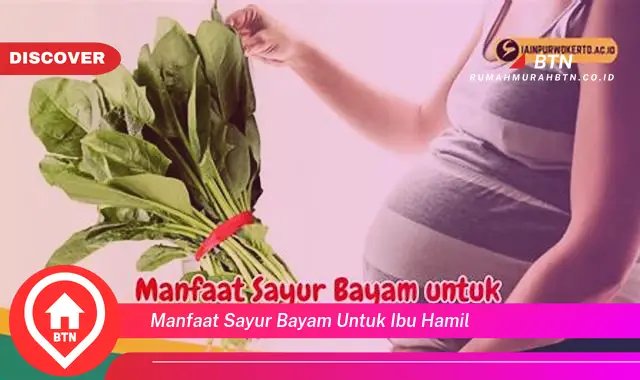 manfaat sayur bayam untuk ibu hamil