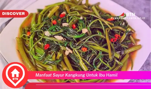 manfaat sayur kangkung untuk ibu hamil