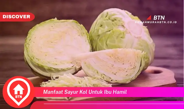 manfaat sayur kol untuk ibu hamil