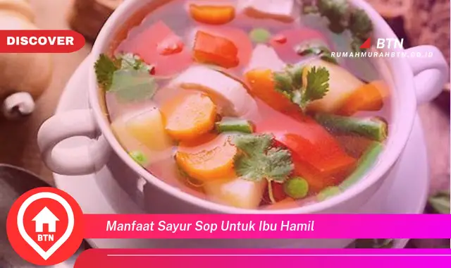 manfaat sayur sop untuk ibu hamil