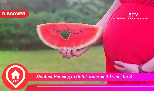 manfaat semangka untuk ibu hamil trimester 3