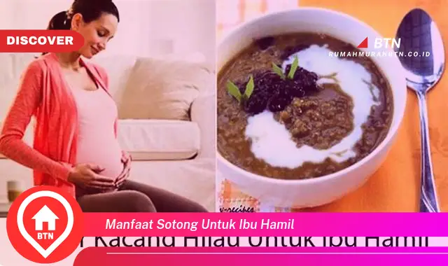 manfaat sotong untuk ibu hamil