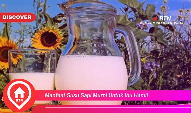 manfaat susu sapi murni untuk ibu hamil