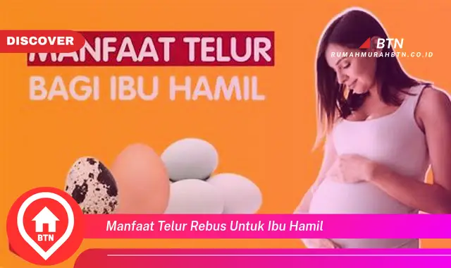 manfaat telur rebus untuk ibu hamil