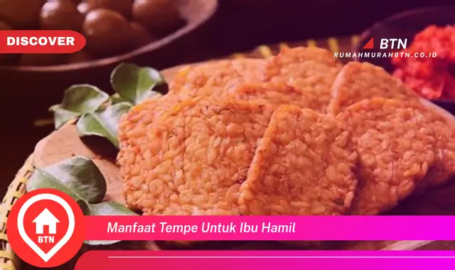 manfaat tempe untuk ibu hamil