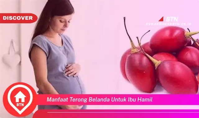 manfaat terong belanda untuk ibu hamil