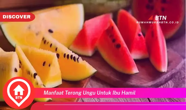 manfaat terong ungu untuk ibu hamil