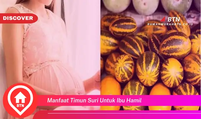 manfaat timun suri untuk ibu hamil