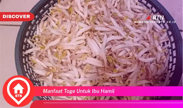 manfaat toge untuk ibu hamil