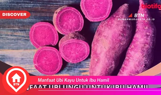 manfaat ubi kayu untuk ibu hamil