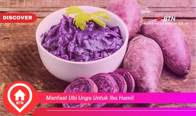 manfaat ubi ungu untuk ibu hamil