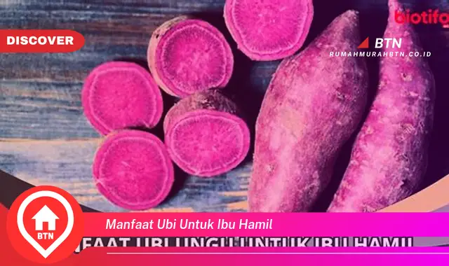 manfaat ubi untuk ibu hamil