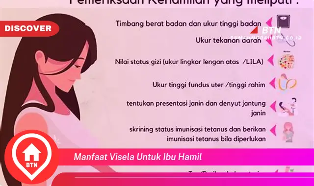 manfaat visela untuk ibu hamil