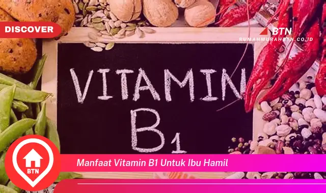 manfaat vitamin b1 untuk ibu hamil