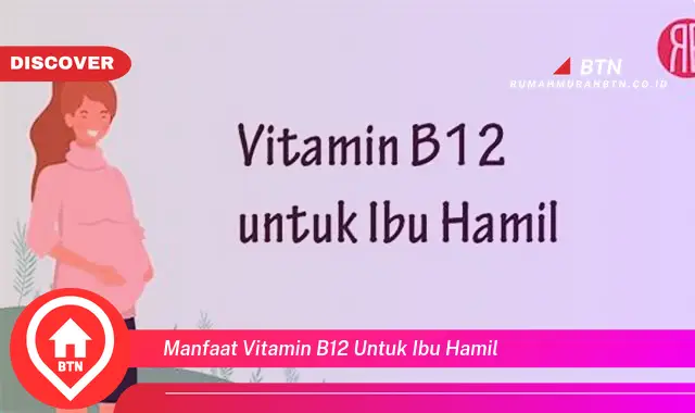 manfaat vitamin b12 untuk ibu hamil