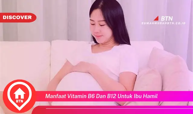 manfaat vitamin b6 dan b12 untuk ibu hamil