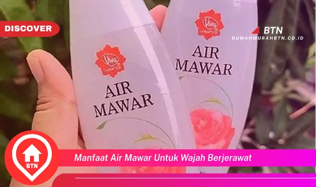 manfaat air mawar untuk wajah berjerawat