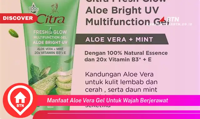 manfaat aloe vera gel untuk wajah berjerawat