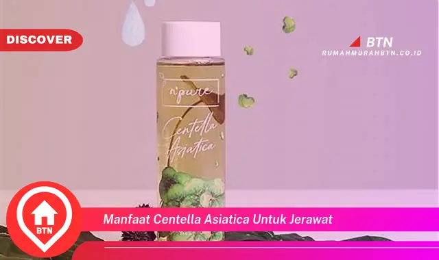 manfaat centella asiatica untuk jerawat