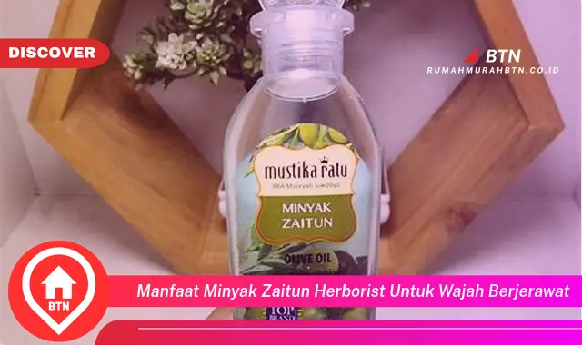 manfaat minyak zaitun herborist untuk wajah berjerawat