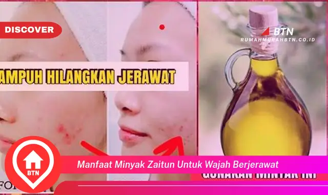 manfaat minyak zaitun untuk wajah berjerawat