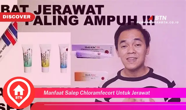 manfaat salep chloramfecort untuk jerawat