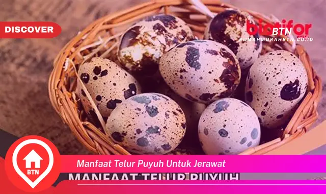 manfaat telur puyuh untuk jerawat