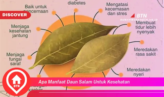 apa manfaat daun salam untuk kesehatan