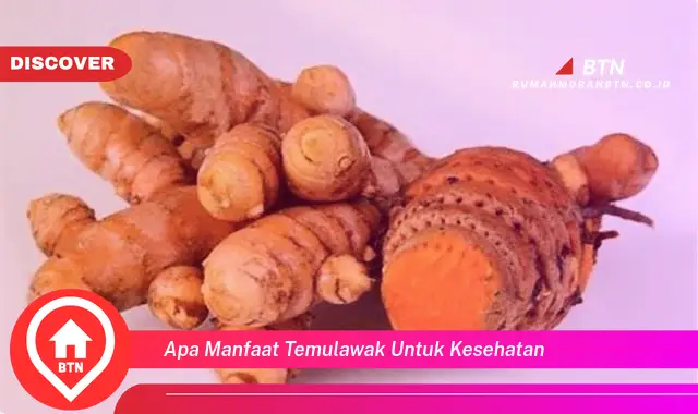 apa manfaat temulawak untuk kesehatan