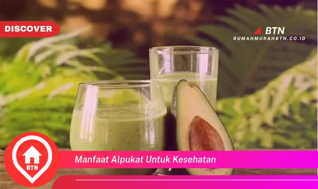 manfaat alpukat untuk kesehatan