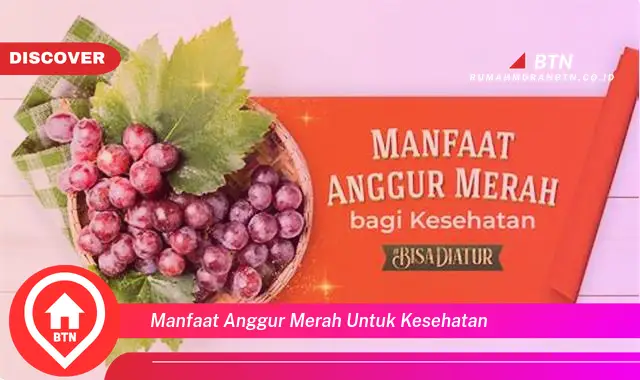 manfaat anggur merah untuk kesehatan