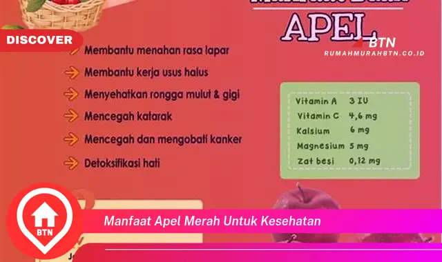 manfaat apel merah untuk kesehatan