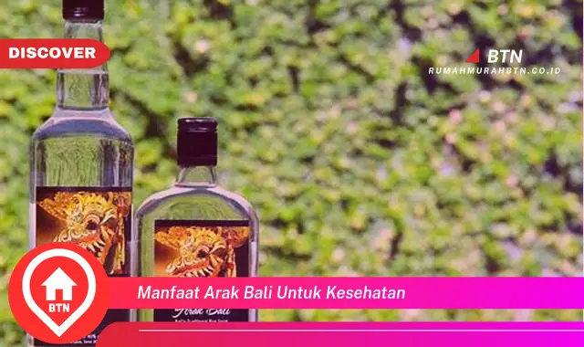 manfaat arak bali untuk kesehatan