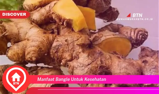 manfaat bangle untuk kesehatan