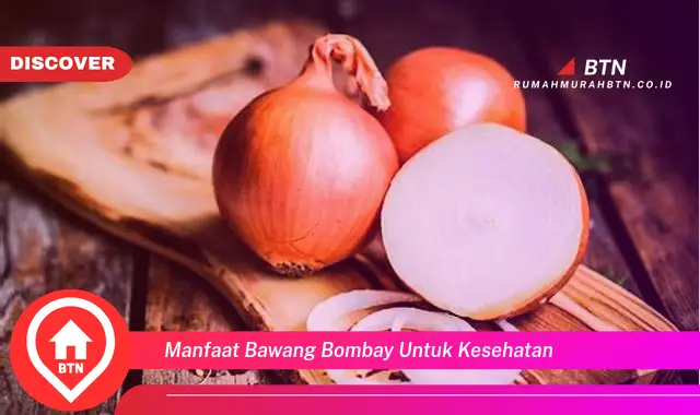 manfaat bawang bombay untuk kesehatan