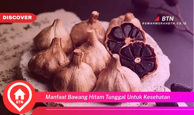 manfaat bawang hitam tunggal untuk kesehatan