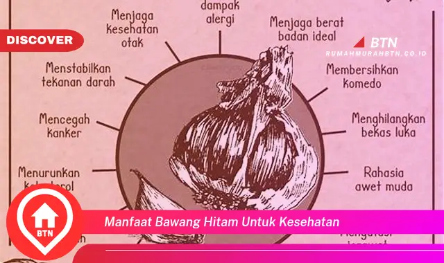 manfaat bawang hitam untuk kesehatan