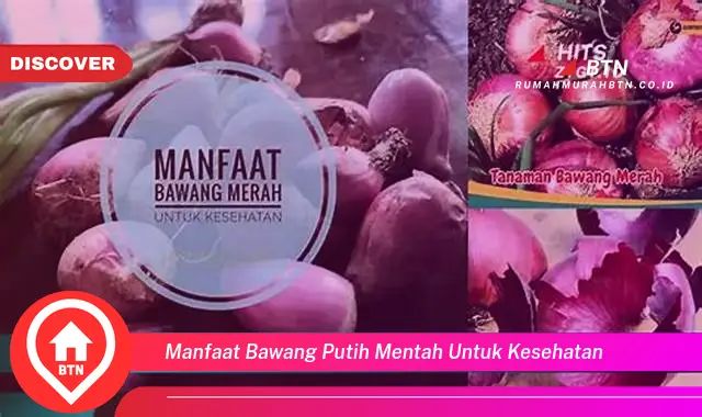 manfaat bawang putih mentah untuk kesehatan