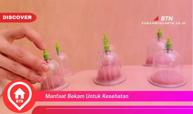 manfaat bekam untuk kesehatan