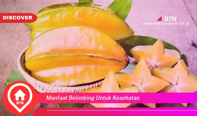 manfaat belimbing untuk kesehatan