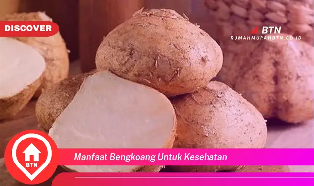 manfaat bengkoang untuk kesehatan