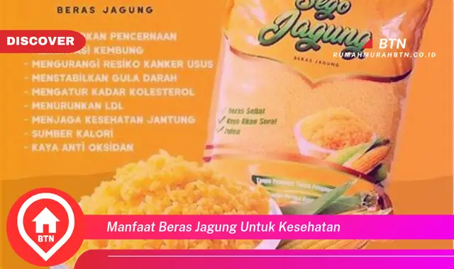 manfaat beras jagung untuk kesehatan