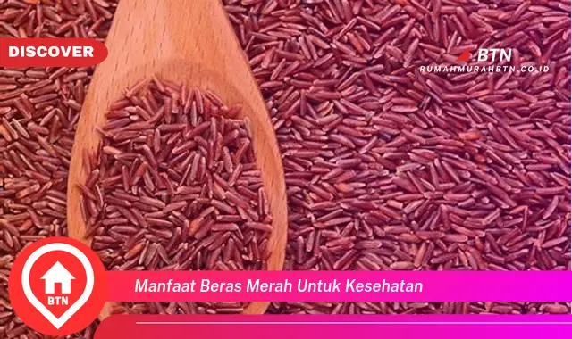 manfaat beras merah untuk kesehatan